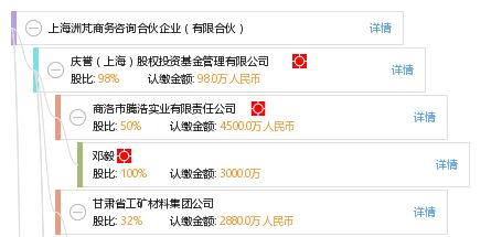 上海洲芃商務咨詢合伙企業（有限合伙）深度解析 專業商務咨詢的領航者