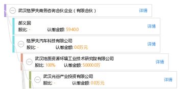 合伙人視角 解讀武漢格羅夫商務咨詢合伙企業的經營生態